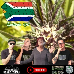 A Deep Delve - The #Hotboxshow Episode 196