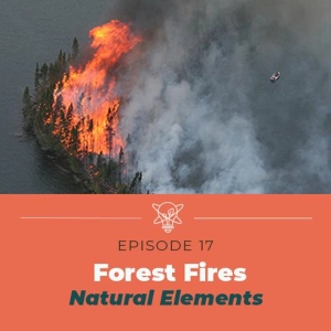 Researching Forest Fires (Natural Elements)