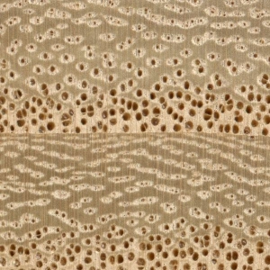 63 - Knotty Pine, Paulownia, and Old Veneers