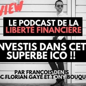 Une pépite ICO et le bull run Web3 crypto & NFT en 2023