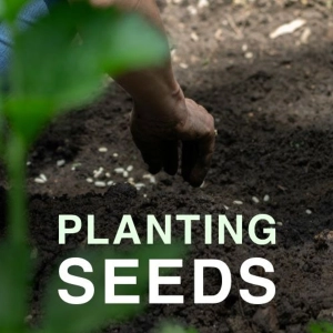 Planting Seeds