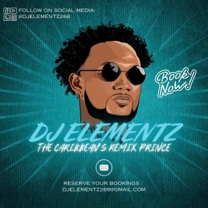 SKIN N BONEZ - DJ ELEMENTZ ( LIVE AUDIO )
