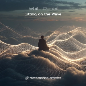 Sitting on the Wave