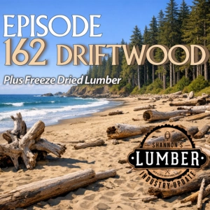 162 - Driftwood