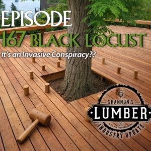167 Black Locust