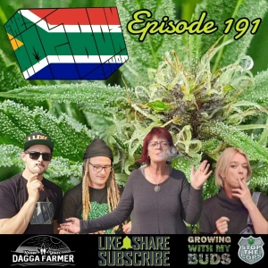 History of Cannabis in South Africa - The #Hotboxshow Episode 191