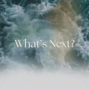What's Next? - Davide Colletta