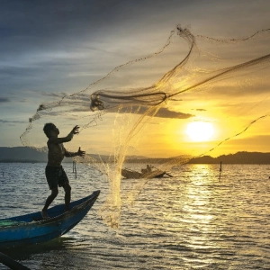 The Parable of the Net