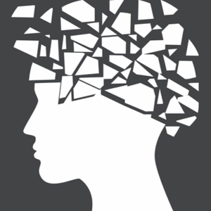 The Effects of Trauma (Gabor Mate, Allan Schore, Robert Scaer, Stephen Porges)