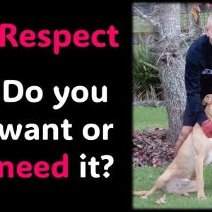 RESPECT…Do you want or need it