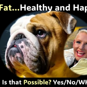 Fat and Healthy - Possible