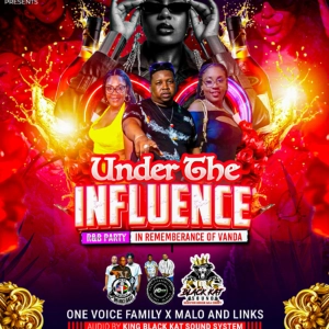 UNDER THE INFLUENCE PROMO (DJ KING BLADEZ & SELECTOR GENNAJAY)