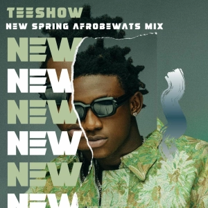 New Afrobeats Mix 2024 Feat Shallipopi, Zinoleesky, Seyi Vibez, ShattaWale, TylerICU, Tyla