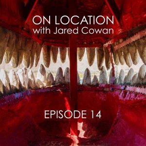 Episode 14