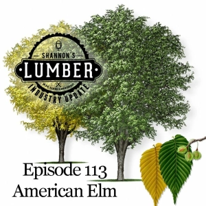 113 The Elm Episode