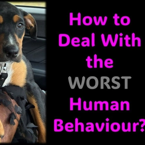 How to Deal With the WORST Human Behaviour