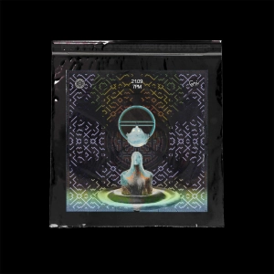 Dᵢₛₒₗᵥₑᵣ! T4 - E4 : Max Graf (Hotbox, PE)