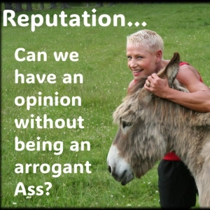 Your opinion without being an arrogant ass