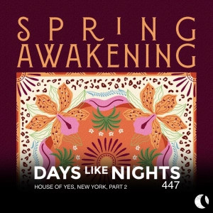 DAYS like NIGHTS 447 - House of Yes, New York, Part 2
