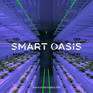Startup Smart Oasis offers vertical farming technology