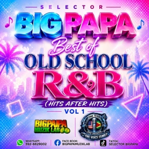 SELECTOR BIGPAPA BEST OF OLD SCHOOL R&B VOL 1(HITS AFTER HITS)