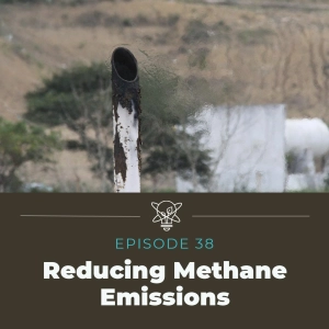 Reducing Methane Emissions