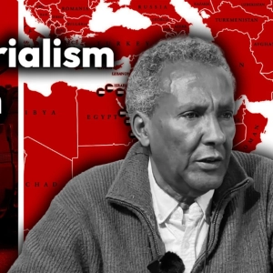 Port imperialism, Sudan, Israel and the gulf states - Mohamad Hassan
