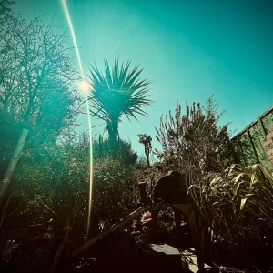 Tropical Techno April 2022