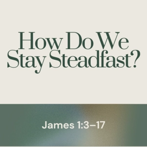 How Do We Stay Steadfast? - Joey Schwartz