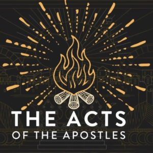 The Acts Of The Apostles: Acts 20: 1-37
