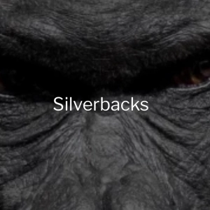 Episode 230 - The SIlverBack Digest