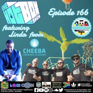 UFC Greenlights Cannabis, Mlungar Cannagar Mould and Terpene Preservation. Featuring Cheeba Africa