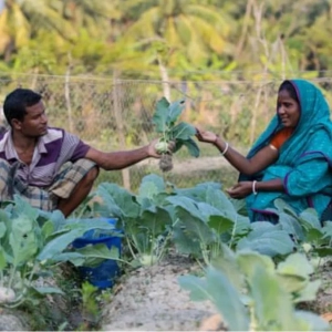 How does Rural Prosperity affect Marriages in Bangladesh?