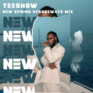 New Afrobeats Mix 2024 Ft Burna Boy, Mack H.D, Victony, Majeeed, Kizz Daniel & More