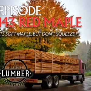 143 Red Maple