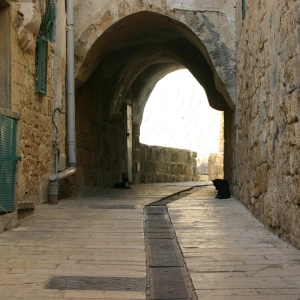 Only Israel - The Jay Shapiro Show