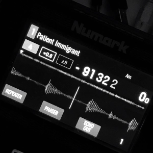 Patient Immigrant (Ethno/Elektro/Downtempo/Folktronika - Tracklist in Description)