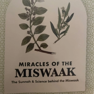 The Book Review - Miracles of the Miswaak