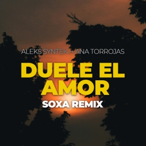 Aleks Syntek & Ana Torroja - Duele El Amor (SOXA Remix)