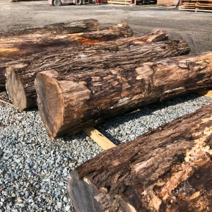 69 Got a Log?  Now What?