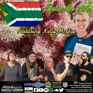 Kelly McQue - The #Hotboxshow Episode 186