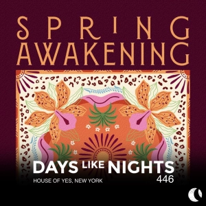DAYS like NIGHTS 446 - House of Yes, New York
