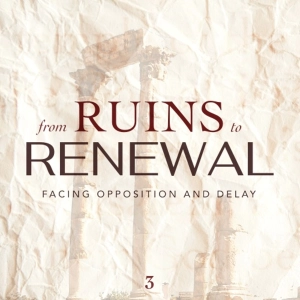 From Ruins to Renewal | Facing Opposition and Delay - Davide Colletta