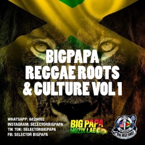 01 BIGPAPA REGGAE ROOTS AND CULTURE VOL 1