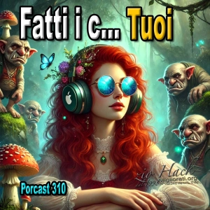 Fatti i c    tuoi, il segreto del successo 310