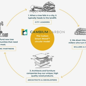 72 - Cambium Carbon
