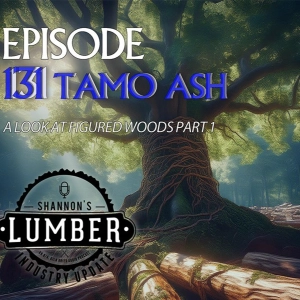 131 - Tamo Ash