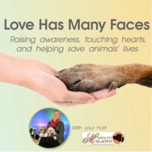 LHMF 06-02-26 Veterinarian and Best-Selling Author, Keshe Chow