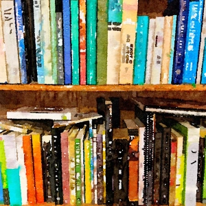 Episode 234 - The Human Library Project