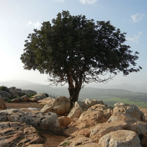 CC183: This Historian has NEW Evidence for the Resurrection of Jesus